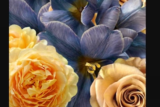 Virtual Floral Art: Golden Saffron